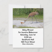 母鳥およびひな鳥のSandhillクレーン 招待状 (正面)