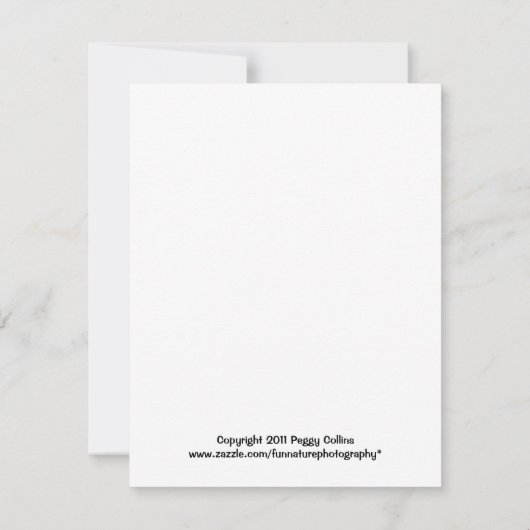 母鳥およびひな鳥のSandhillクレーン 招待状 (裏面)