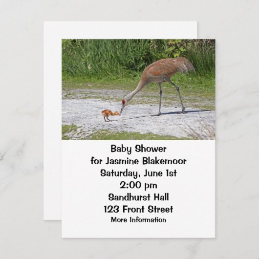 母鳥およびひな鳥のSandhillクレーン 招待状 (正面/裏面)