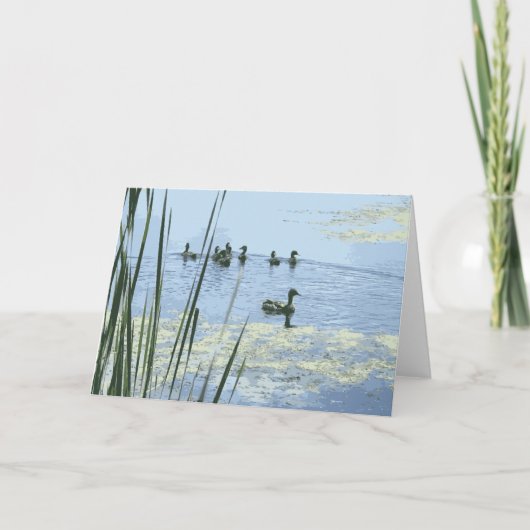 母鴨が池で泳ぐ カード (正面)