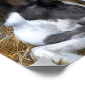 母・ウェイ・アート ポスター (角)