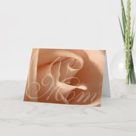 母 カード (正面)