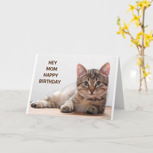 **母**私のお気に入りの猫好き誕生日 カード (黄色い花)