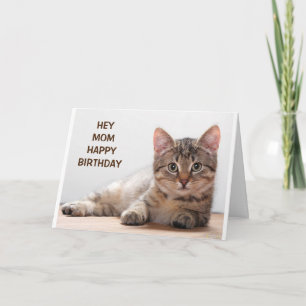 **母**私のお気に入りの猫好き誕生日 カード