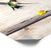 毎日が新しいハミングバード ポスター (角)