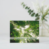 毎日が新緑の陽光の森 ポストカード (スタンド正面)