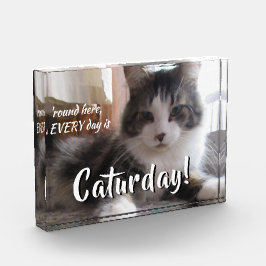 毎日が猫の日 かわいい猫のテンプレート フォトブロック