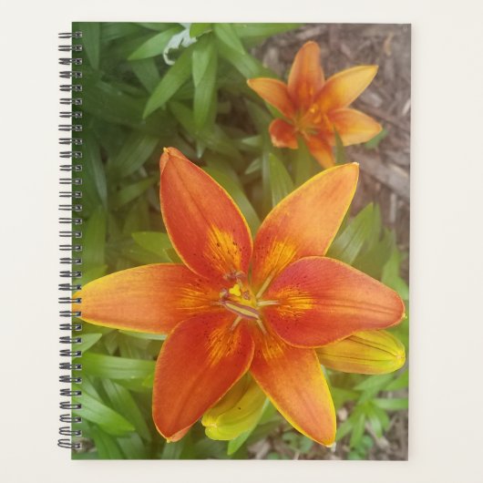 毎日のプランナー プランナー手帳 (正面)