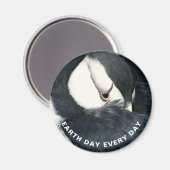 毎日の地球の日パフィン写真の角 マグネット (正面/裏面)