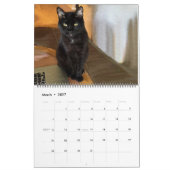毎日は土曜日カスタムな猫のカレンダーです カレンダー (3月 2027)