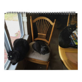 毎日は土曜日カスタムな猫のカレンダーです カレンダー