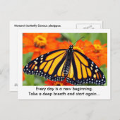 毎日は新しい始まりである…(昆虫)オオカバマダラ、モナーク蝶 ポストカード (正面/裏面)