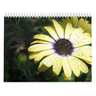 毎日は新しい花です カレンダー