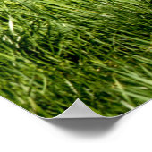 毎日を地球の日にする ポスター (角)