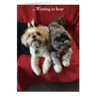 毎日カード優美及び栄光