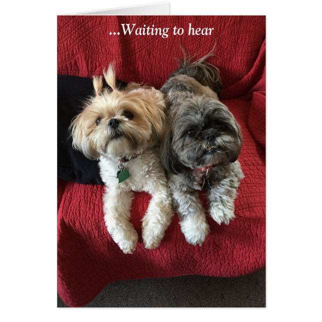 毎日カード優美及び栄光 (正面)