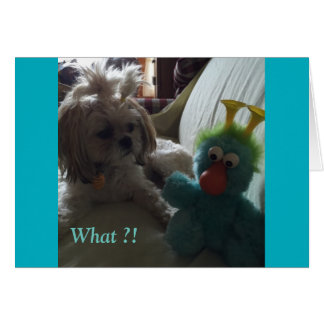 毎日カード優美及び栄光