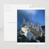 毎日フロス- インビテーションポストカード (正面/裏面)