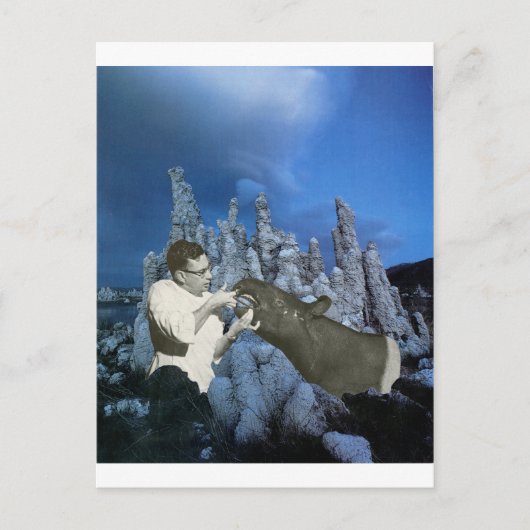 毎日フロス- インビテーションポストカード (正面)