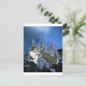 毎日フロス- インビテーションポストカード (スタンド正面)