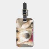 毎日愛を電波に乗せて ラゲッジタグ (正面縦)