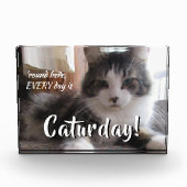 毎日猫が飼えるテンプレート フォトブロック (正面)