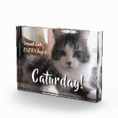 毎日猫が飼えるテンプレート フォトブロック (右)