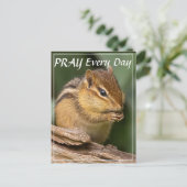 毎日祈るチップモンキー ポストカード (スタンド正面)