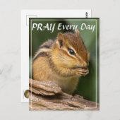 毎日祈るチップモンキー ポストカード (正面/裏面)