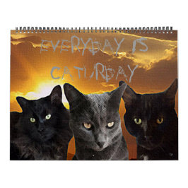 毎日Caturdayのカレンダーはです カレンダー