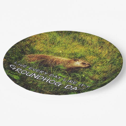 毎日Groundhog Dayのように生きる!プレート ペーパープレート (アングル)