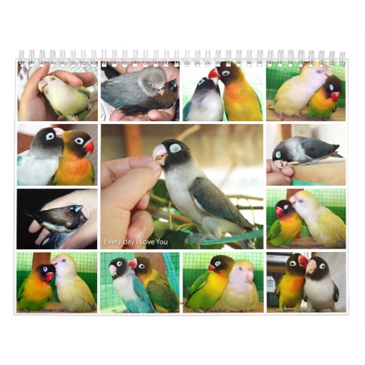 毎日I愛 カレンダー (カバー)