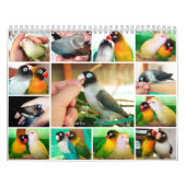 毎日I愛 カレンダー (カバー)