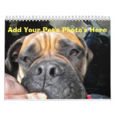 毎月のカレンダーにペットの写真を追加する カレンダー (カバー)