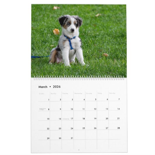 毎月のカレンダーに犬の写真を追加する カレンダー (3月 2026)