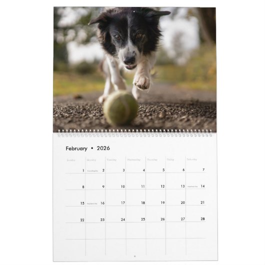 毎月のカレンダーに犬の写真を追加する カレンダー (2月 2026)