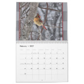 毎月の(鳥)ショウジョウコウカンチョウは年を変える2016できます カレンダー (2月 2027)