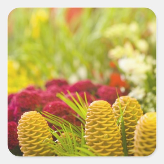 毎週金曜日の果物と野菜の市場。 スクエアシール (正面)