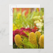 毎週金曜日の果物と野菜の市場。 ポストカード (正面/裏面)