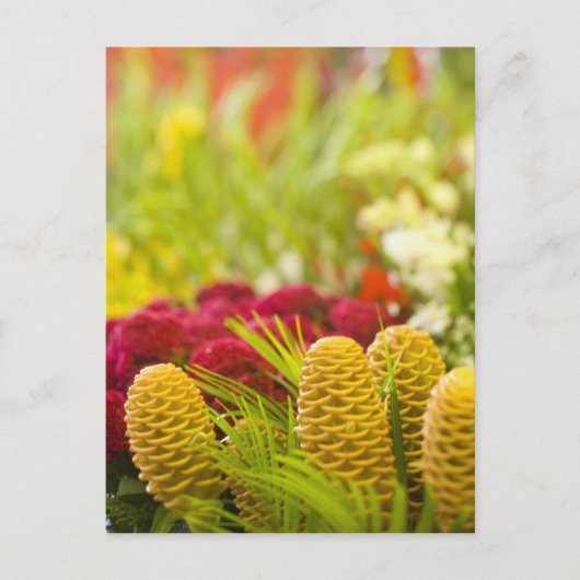 毎週金曜日の果物と野菜の市場。 ポストカード (正面)