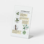 毒アイビープラントのハイキング、キャンプ、キャビンを識別 台座サイン (正面)