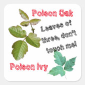 毒アイビー、ポイズンオーク警告、植物のステッカー スクエアシール (正面)