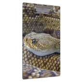 毒ガラガラのヘビ密接型 クリップボード (右)