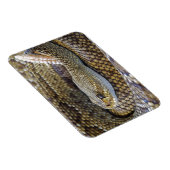 毒ガラガラのヘビ密接型 マグネット (右側)