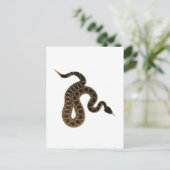 毒咬傷 ポストカード (スタンド正面)