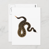 毒咬傷 ポストカード (正面/裏面)