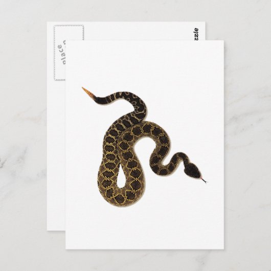 毒咬傷 ポストカード (正面/裏面)