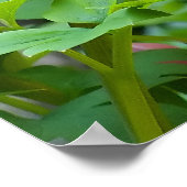 毒性ハート ポスター (角)