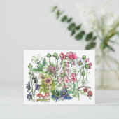 毒性植物ハーブ水の色の花スケッチ ポストカード (スタンド正面)