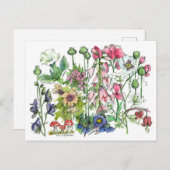 毒性植物ハーブ水の色の花スケッチ ポストカード (正面/裏面)